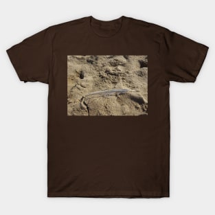 A seagull feather on the sand T-Shirt